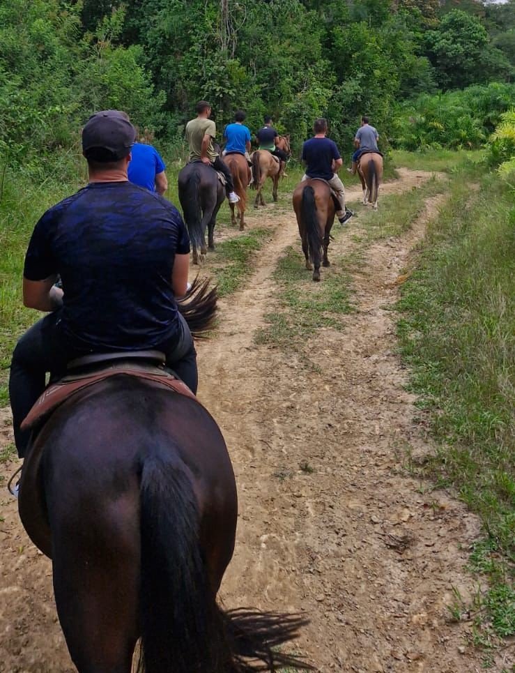 Centro Terapêutico Masculino - Aracuari - Santa Catarina
